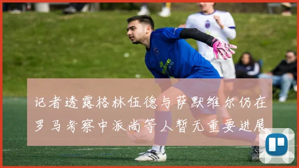 记者透露格林伍德与萨默维尔仍在罗马考察中派尚等人暂无重要进展消息