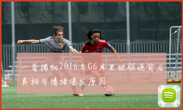 一哥揭秘2016年G6库里被驱逐背后真相与情绪爆发原因