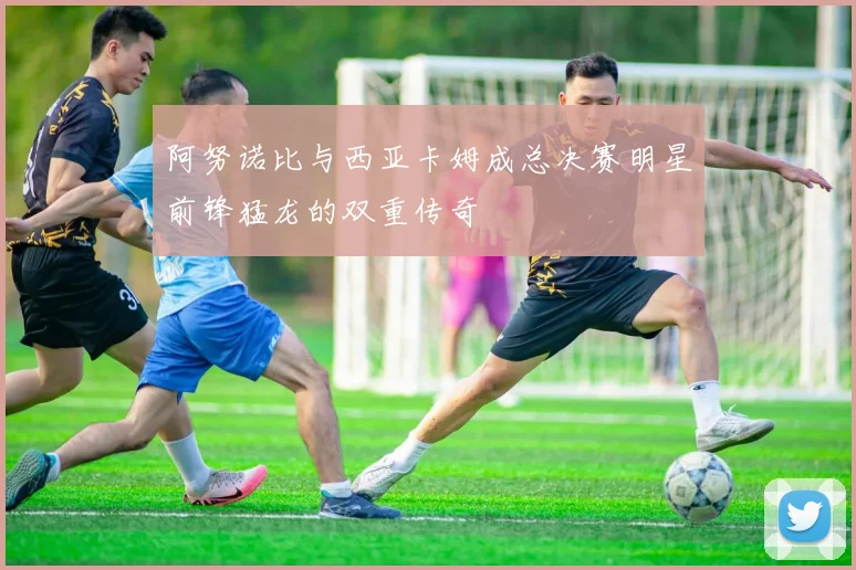 阿努诺比与西亚卡姆成总决赛明星前锋猛龙的双重传奇